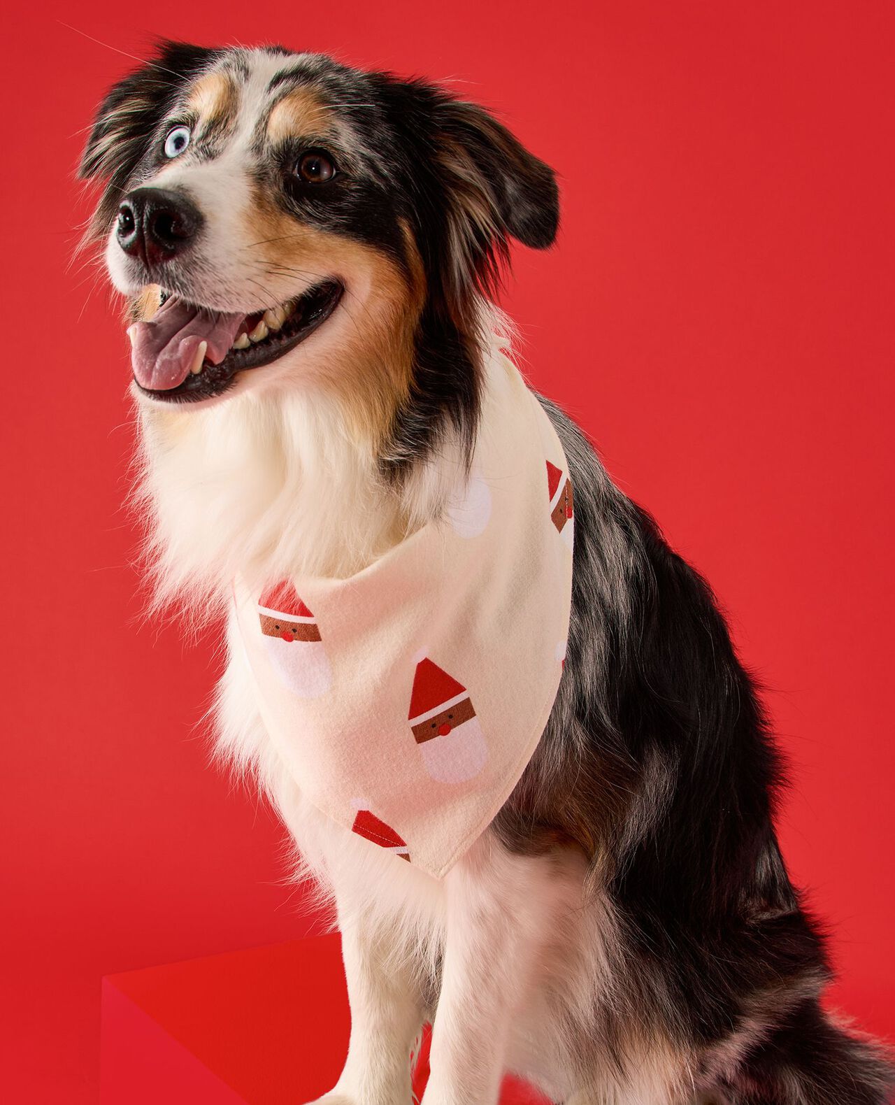Flannel Dog Bandana - Image 3