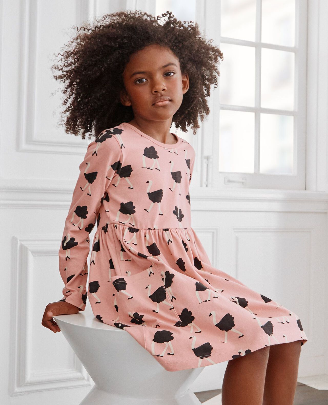 Holiday Long Sleeve Playground Dress with Pockets