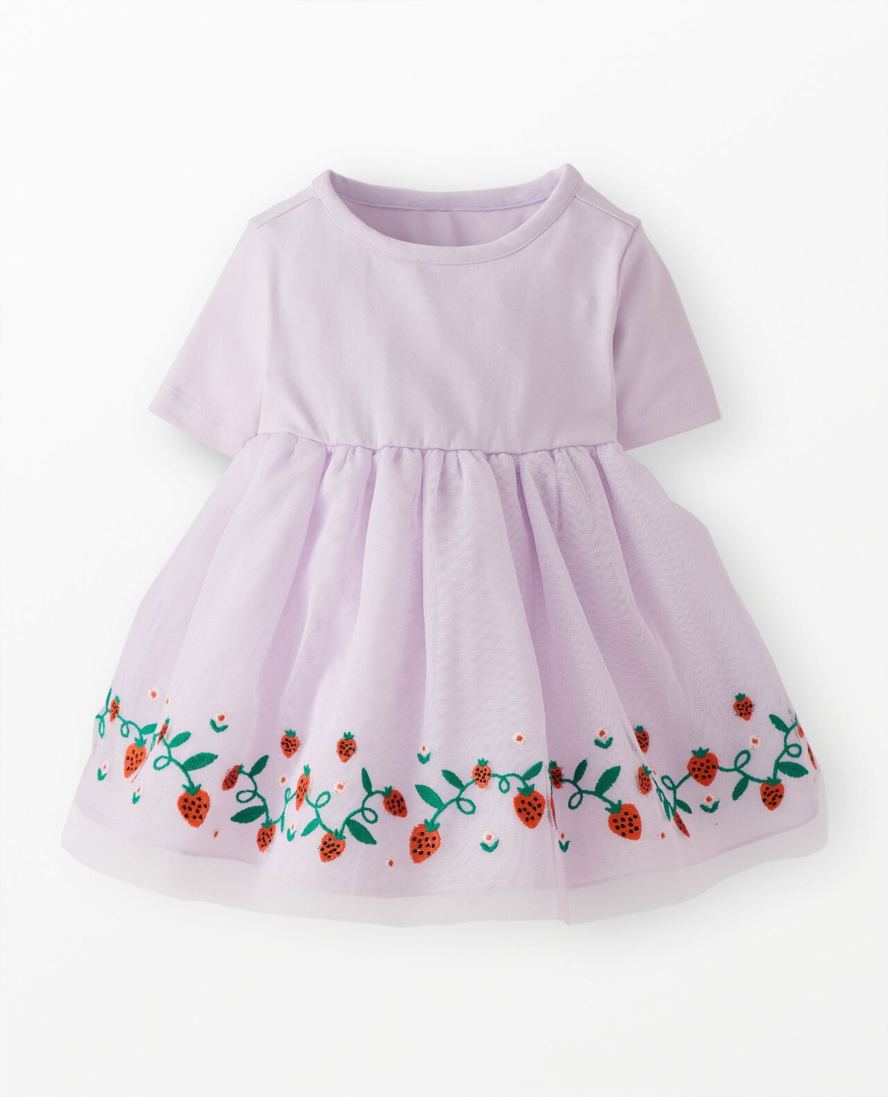 Baby Embroidered Tulle Skater Dress