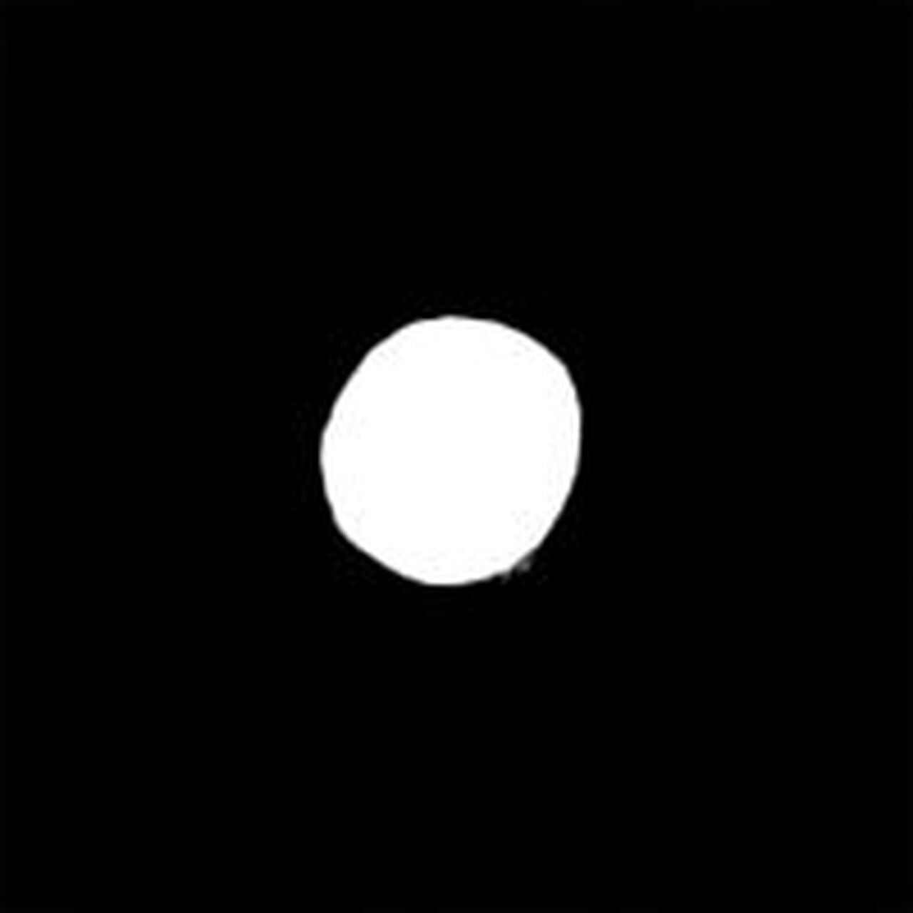 Relaxed Fit Dot Graphic T-Shirt - Image 5